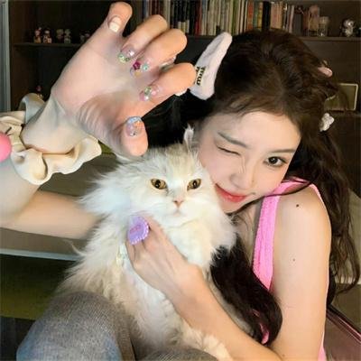 猫和老鼠：绿野仙踪