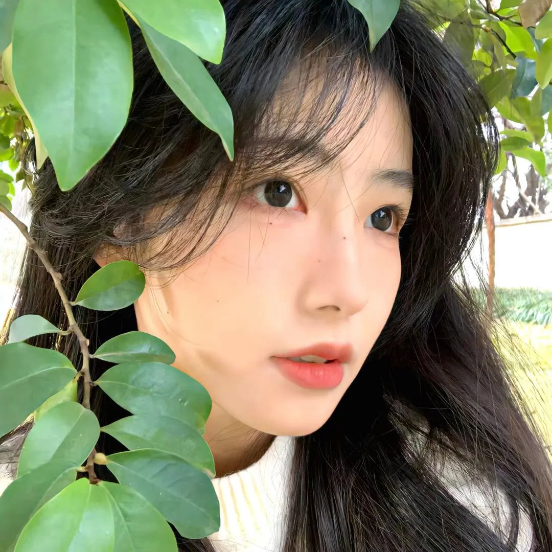 泼妇碧安卡