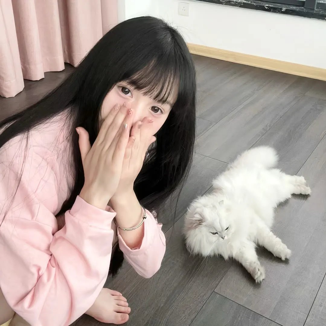飞盘犬